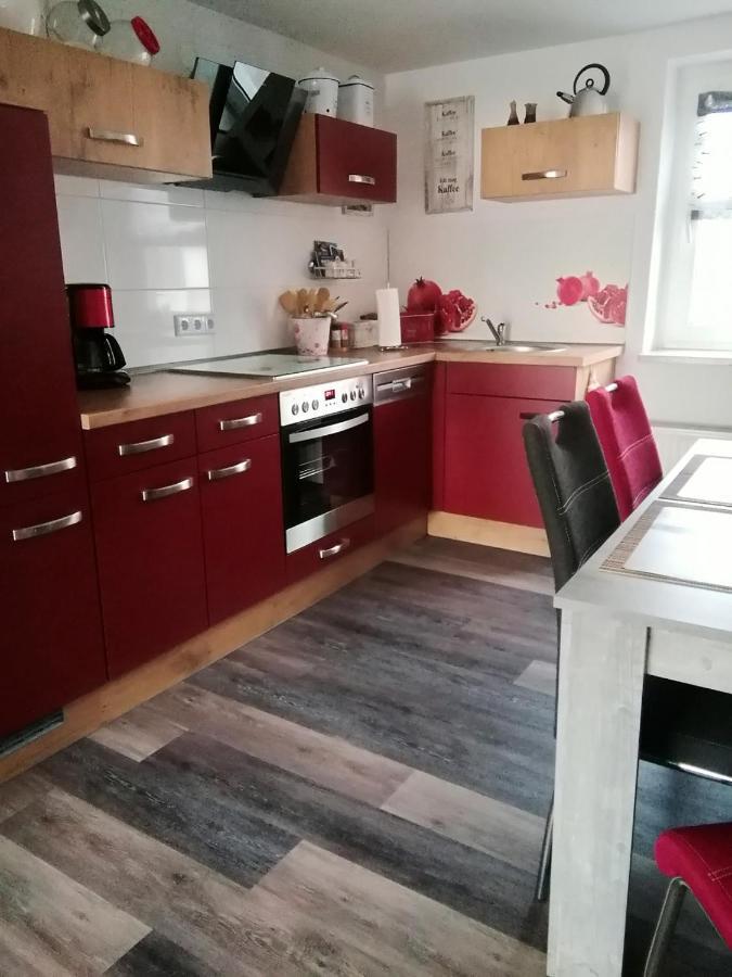 Haus Maisonette Am Harz Niedersachswerfen エクステリア 写真
