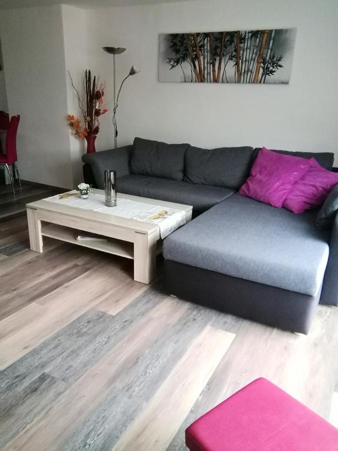 Haus Maisonette Am Harz Niedersachswerfen エクステリア 写真
